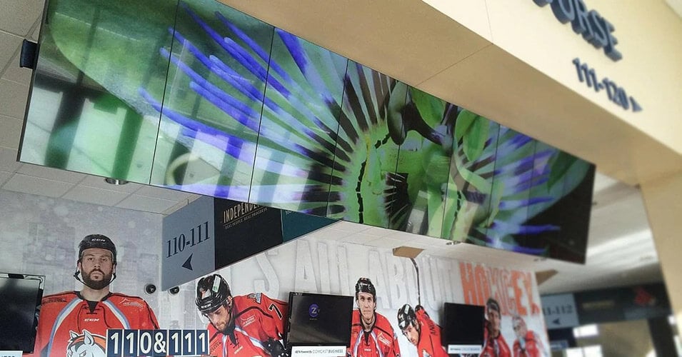 Hanging video wall in the Silverstein Arena displaying a photo of a flower, with hockey players displayed on a wall behind it